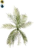 Buitengewoon Boet Kunsttak Fish Bone Fern Bush UV - 70 cm