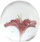 Light & Living Glas bloem ornament 8x8cm roze
