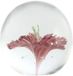 Light & Living Glas bloem ornament 8x8cm roze