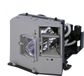QualityLamp ACER PD726 beamerlamp EC.J2901.001 - Originele UHP lamp - Prestaties gelijk aan origineel