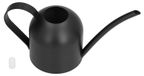 Inox Watering Can with Long Spout for Indoor and Outdoor Use