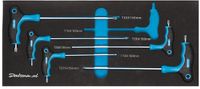 Datona® 6-delige torx sleutelset met T-greep in Pro softmodule - T10 tot T30