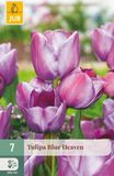 Jub Tulipa Blue Heaven bloembol JUB 7 stuks
