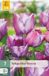 Jub Tulipa Blue Heaven bloembol JUB 7 stuks