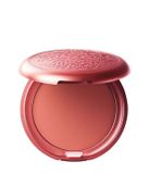 Stila Convertible Color Dual Lip & Cheek Cream Primrose Blushcrème