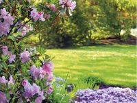 Warentuin mix - Siertuincompost aarde 40 liter