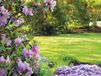 Warentuin mix - Siertuincompost aarde 40 liter