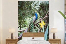 Nr1Wallpaper Behang - Fotobehang Pauw - Blauw - Bos - Breedte 160 cm x hoogte 240 cm