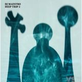 Black Hole Recordings B.V Black Hole Deep Trip 2