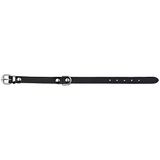 Trixie Basic halsband, L: 47-57 cm/25 mm, zwart