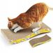 Bol Chat Griffoir Écologique avec Couchage - Conception de Bateau en Carton, 45cm