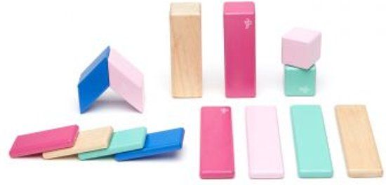 Tegu 14 Piece Magnetic Wooden Block Set Blossom - 0858790006104