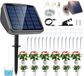 Système d'irrigation goutte à goutte automatique sans marque à énergie solaire pour jardin et balcon avec 15 m de tuyau