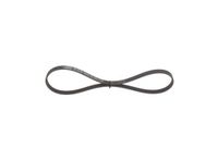 BOSCH Keilrippenriemen 1987948404