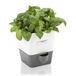 Cole & Mason H105249 Burwell Kruidenhouder Met Zelfbewateringssysteem, Wit/Grijs