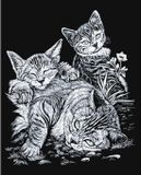 Royal Langnickel Kraskaart 20,3x25,4cm zilver Katten+katjes