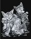Royal Langnickel Kraskaart 20,3x25,4cm zilver Katten+katjes