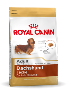 Royal Canin Breed Dachshund Adult