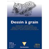 Clairefontaine 96023C Tekenblok Gelijmd Tekenpapier met Korrel - 20 Vellen Tekenpapier met Duidelijke Korrel - A4 21x29,7 cm 224g - Ideaal voor Tekenen op School