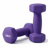 Merkloos / Sans marque Relaxdays Dumbbells - Set van 2 - Gietijzer - 1 kg - Antislip - Paars