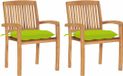 vidaXL Tuinstoelen 2 st met heldergroene kussens massief teakhout