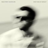 What Acid Jazz UK New Street Adventure Feat. Nick Cor - What Kind Of World (CD)