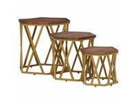 Maison Exclusive - Table basse, marron, 55 x 55 x 50 cm, manguier massif