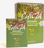 Chicza Mint Chicza Kauwgom Mint 10 Doosjes