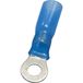 TRU COMPONENTS 1583072 cosse à œillet avec gaine thermorétractable section transversale (max.): 2.50 mm² partiellement isolé bleu 1 pièce(s)