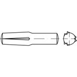 TOOLCRAFT Gekerfde conische geleidepen 6 mm Staal 100 stuk(s)