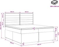 vidaXL LED Boxspringbed met Matras Lichtgrijs 200 x 200 cm Stof