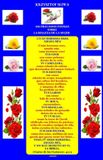 100 Independently Published 100 Preciosos Poemas sobre la Belleza de la Mujer Paperback
