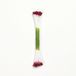 PME STAM10BG Meeldraden voor suikerbloemen Medium Pearl Bourgondië (Pack van 50)