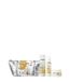 Goldwell Dualsenses Rich Repair Haarverzorgingsset