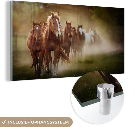 MuchoWow® Glasschilderij 120x60 cm - Paarden - Acrylglas - Multicolor - Modern