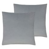 Evans Lichfield Sunningdale polyester gevulde kussens (Twin Pack), platina, 50 x 50 cm
