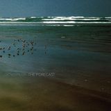 The Downpilot - The Forecast (LP)