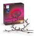 Philips Hue Festavia - Smart Strip Light - LED - Black - Color Changing