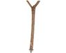 Trixie Natural Living Zitstok Y-Vorm - 35 cm