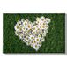 Homemania Muurfoto, bloemen, natuur, voor woonkamer, slaapkamer, meerkleurig, 45 x 3 x 70 cm, HM20KNV45 x 70 – 220, polyester, hout