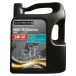 COREXX Huile moteur 5w-30 5 l haute technologie wss