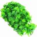 Zoo Med Naturalistic flora - Amazonian phyllo - Large - plante de terrarium