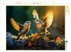 CALVENDO Puzzel Vogels, een grandioze gouden oktober | 1000 stukjes legformaat 64 x 48 cm fotopuzzel voor gelukkige uren