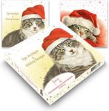 Franciens Katten kerstdoosje - Kat met muts - Kitten op deken