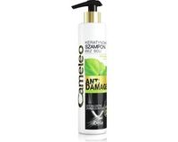 Delia Cosmetics Cameleo Anti-Damage Shampoo 250 ml