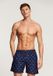 Shiwi The Sunshine Brand zwemshort Palm groen