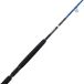 Savage Gear SGS2 Offshore Plug Spinnrute 2,50m 20-60g 2-tlg