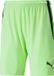 Puma Teamliga Short Heren - Limoen | Maat: L