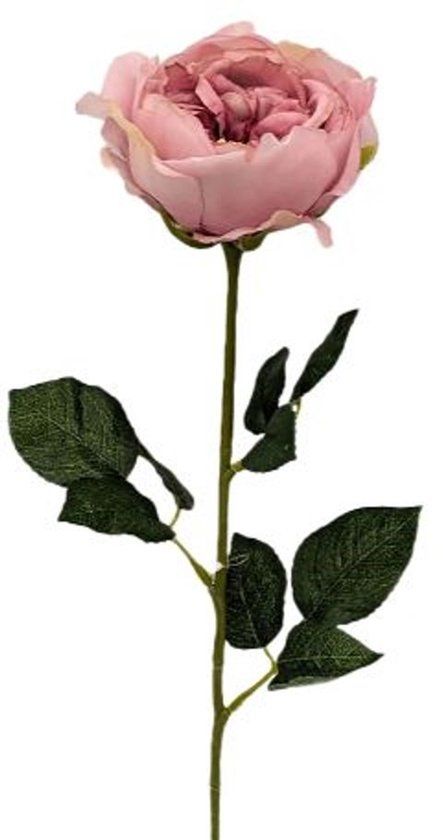 Buitengewoon Boet Buitengewoon de Boet Kunst engelse roos zalm roze, 59 cm