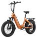 F6 Boost Vélo électrique - 50 cm Fatbike - 48 V 18 Ah, batterie amovible - Moteur arrière 250W - Capteur de couple 70 Nm - Freins à disque hydrauliques - Orange Cosmique
